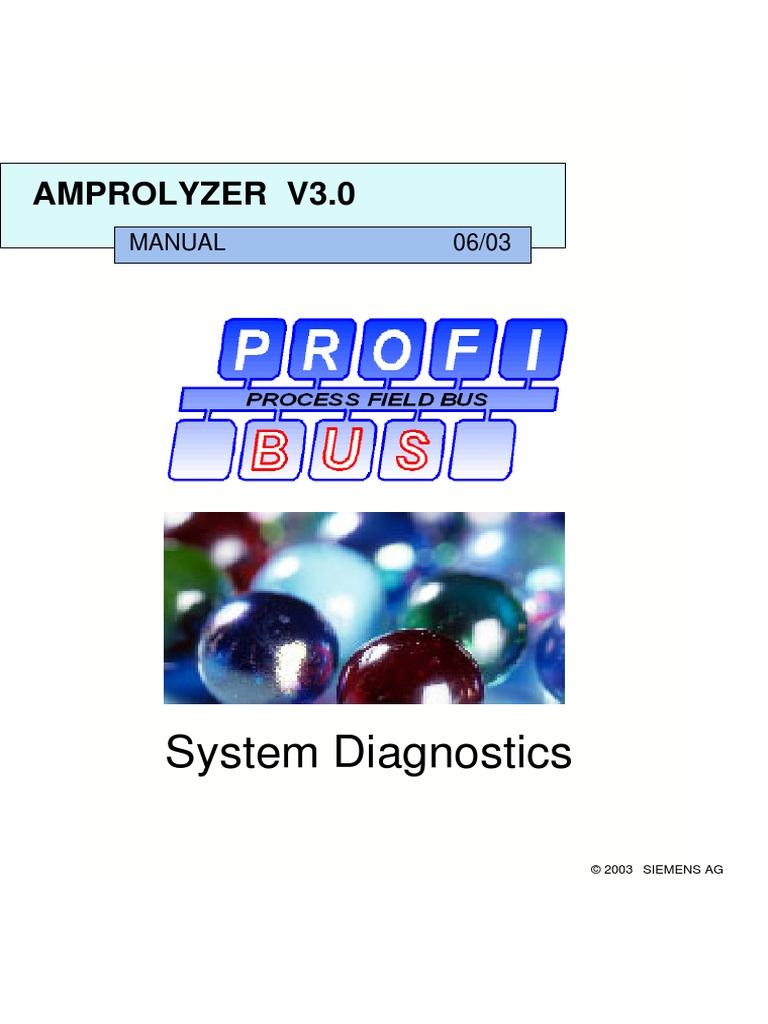 Amprolyzer Manual | Installation (Computer Programs) | Search Engine  Indexing