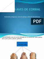 6 GRUPO AVES DE CORRAL.ppsx