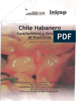 CHILEHABANEROcaracteristicasytecnologiadeproduccion