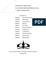 Makalah Nefropati Diabetik EMG (FIX PRINT)