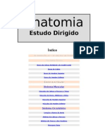___Estudo Dirigido___.doc