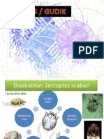 PPT Scabies