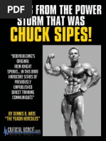 Download Chucksipes Echoesfinal by groksterman SN178268713 doc pdf