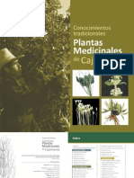 Plantas Medicinales de Cajamarca