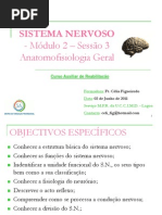 Sistema Nervoso