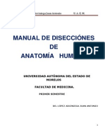 I. Manual de Disecciones - Uaem
