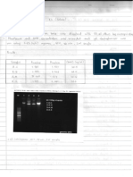 50-Genomic DNA Dilution AC, AH, AM, As