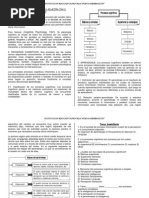 Proceso Cognitivo (Selección)