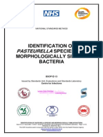 Pasteurella: Identification of Species and Morphologically Similar Bacteria