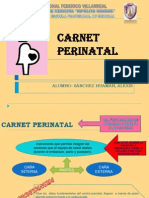 Carnet Perinatal 