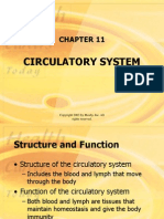 Circulatory System