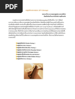 กลยุทธทางการตลาด  (8 P's Strategy