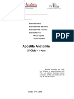 Apostila 2º Ciclo p1