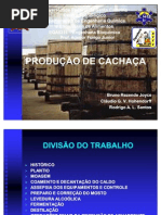 47286929-cachaca