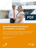 Pesq Env PWC FGV