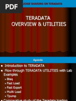 TERADATA