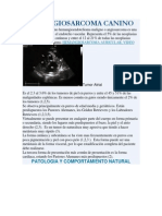 Hemangiosarcoma Canino PDF