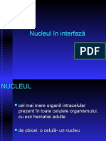 LP 6 - Nucleu