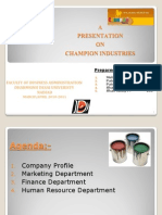 Champian Paints Presentation