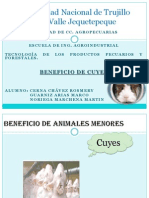 Beneficio de Cuyes