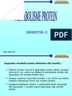 Metabolisme Protein