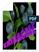 Ericaceae