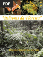 Livro Palavras Da Floresta