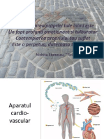 Ekg Normal