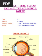 Download Light-human Eye and the Colourful Worldppt by Abhinandan Borad SN178485628 doc pdf