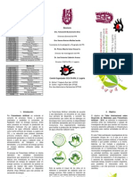 Triptico Taller Sobre Desarrollo de Materiales Para Fotosintesis Aritficial 2013