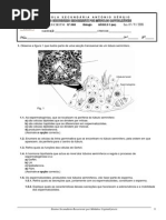 Teste_Modulo_1_07-11-2006