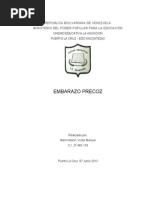 Conceptos O Definiciones Del Embarazo Precoz