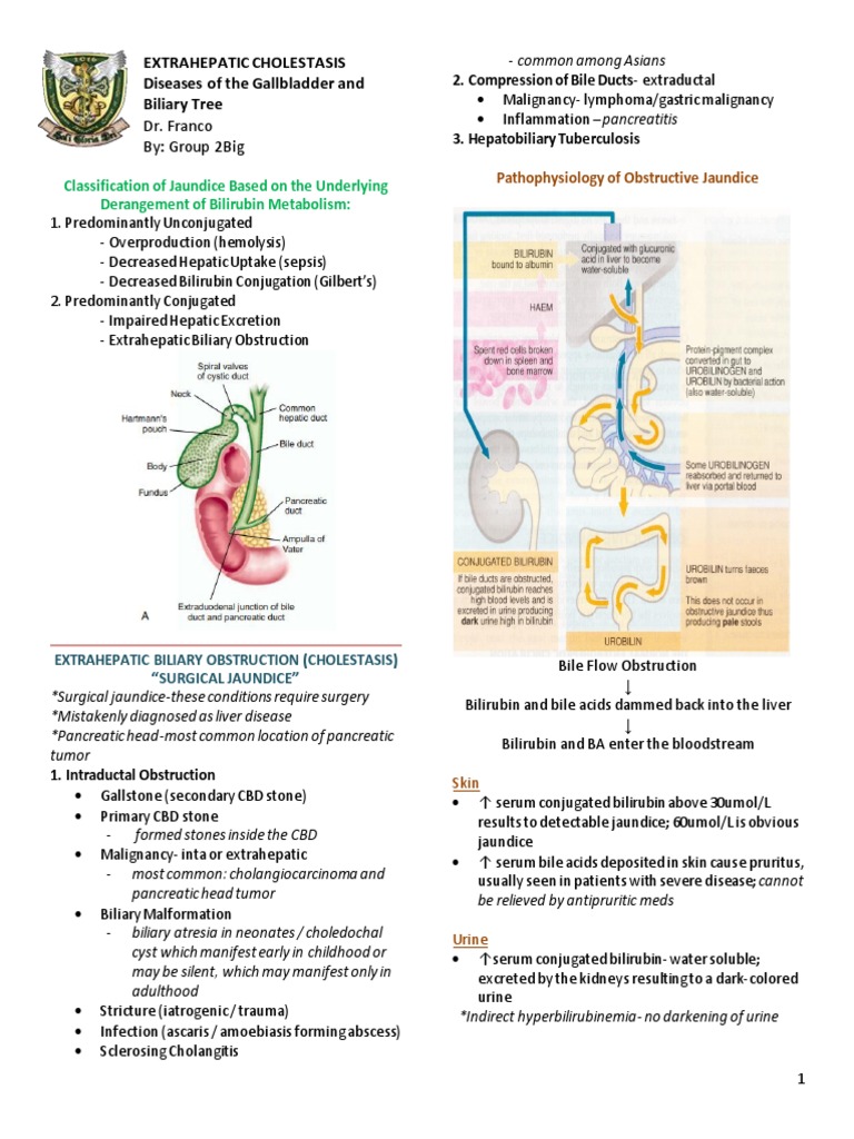 Extrahepatic Cholestasis PDF Gallbladder Exocrine System
