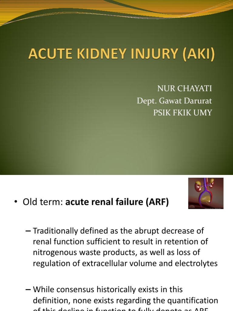 Acute Kidney Injury | PDF | Renal Function | Kidney