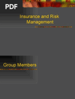 Final Risk Management Slides