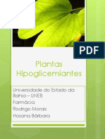 Plantas Hipoglicemiantes