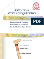 Patologia Musculo Esqueletica