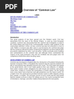 Download An Overview of Common Law by Marcos SN17857672 doc pdf