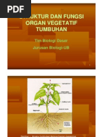 Download struktur  fungsi organ vegetatif tumbuhanpdf by akbar_rozaaq SN178582094 doc pdf
