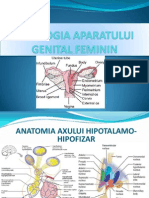 Ciclurile Sexuale