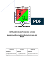 Elaboración y Ejecución Plan Anual de Caja