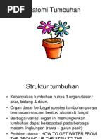 Download Anatomi Tumbuhanppt by reza rahmad SN178637866 doc pdf
