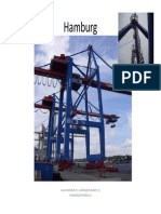 Cranes Macarale PDF