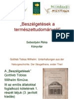 Beszelgetesek_SebestyenR.pdf