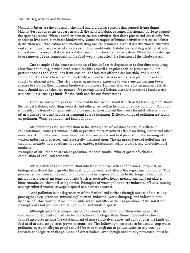 Pollution essay pdf image