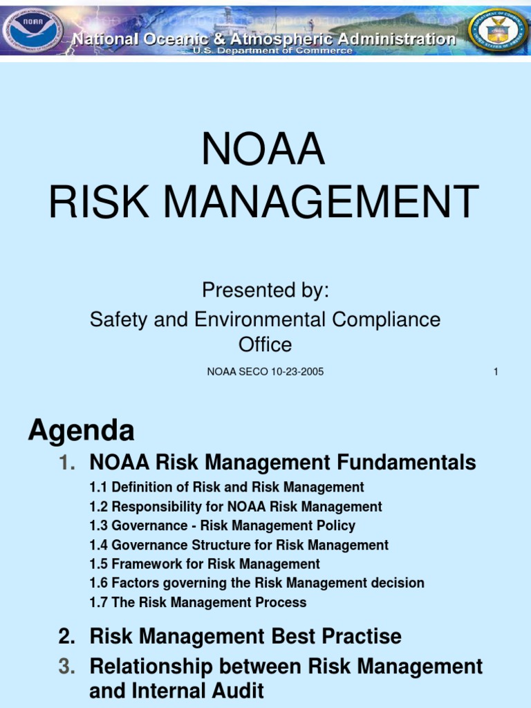 risk management master thesis topics