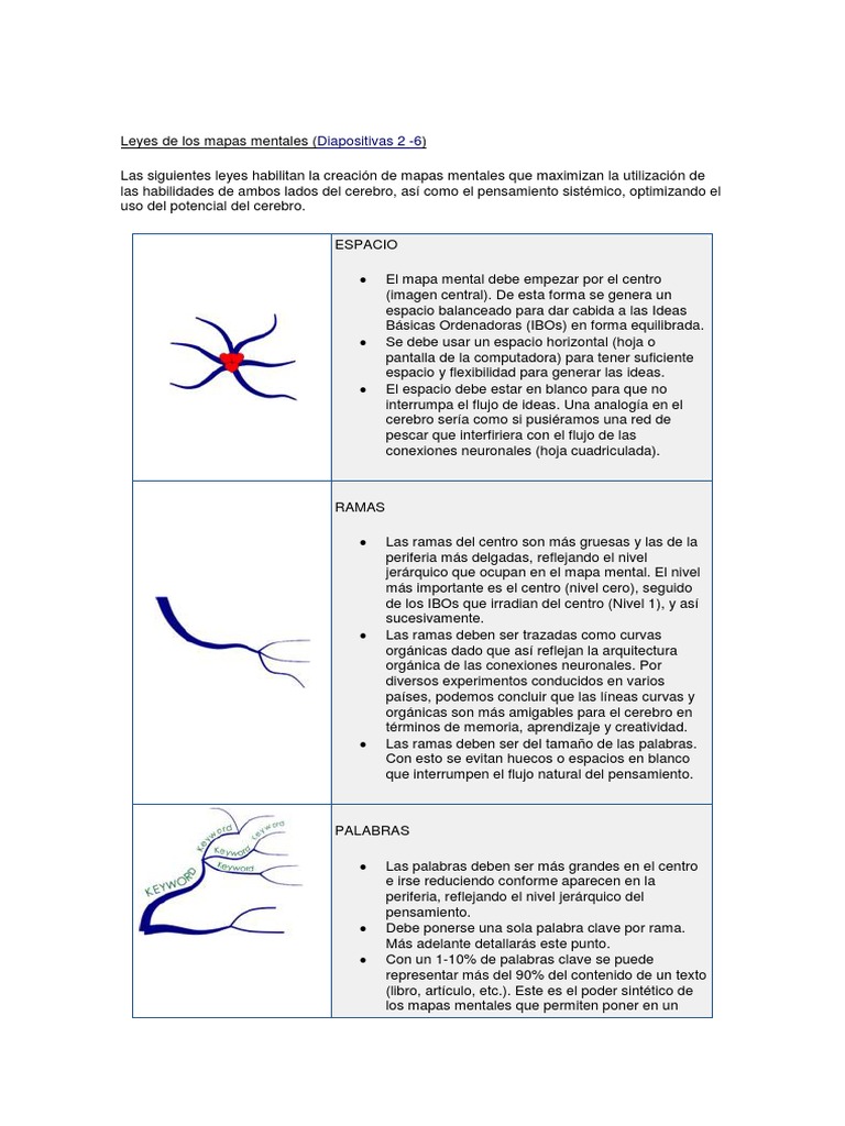 Leyes de Los Mapas Mentales | PDF | Imagen | Cerebro