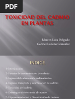 Cadmio en Las Plantas