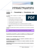 Psicopatología y Psicodinámica Del Trabajo PDF