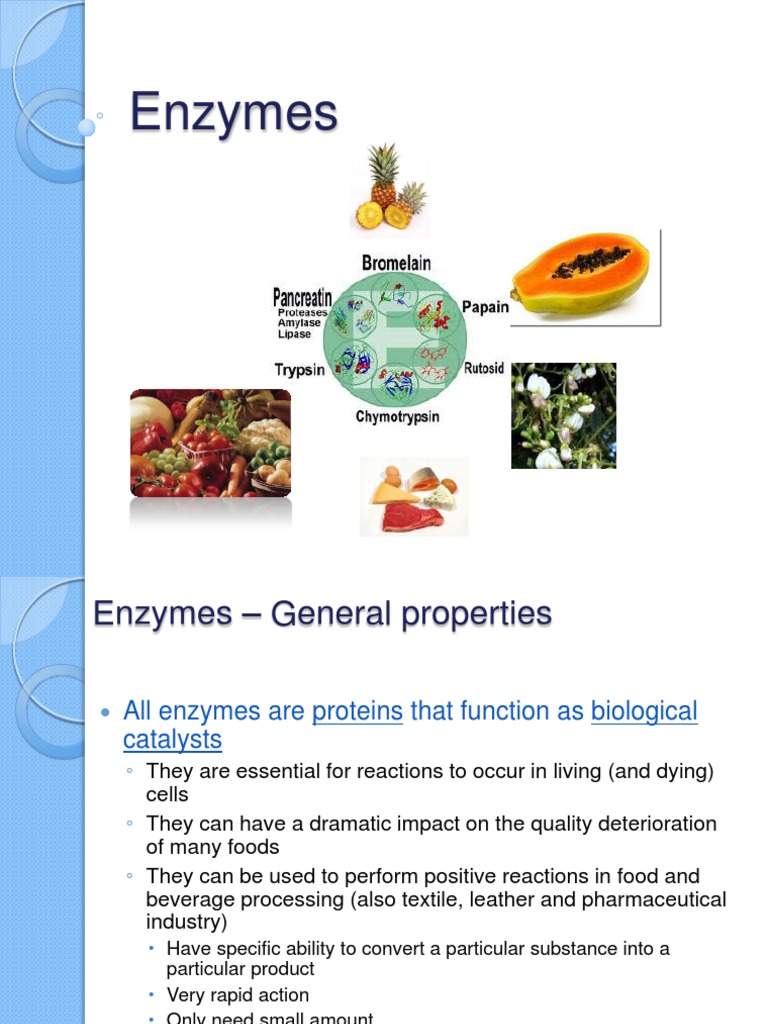 Enzymes Enzyme Starch